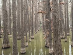 -采石矶景区