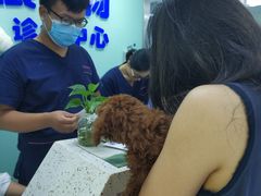 -莘程宠物医院(金山店)