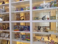 -斯坦星球AI编程·机器人科创·科学实验·信奥·思维·STEM·积木拼搭·竞赛考级(浦东联洋广场大拇指龙阳御桥中心)