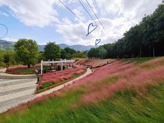 -牛岗山公园