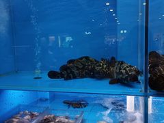 -大头椰·椰子鸡火锅(南宁万象城店)