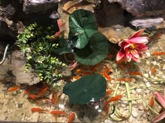 -冶春茶社(星汉大厦店)