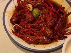 -杨氏青龙虾·羊蝎子(托乐嘉店)