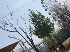 -白鹿原影视城