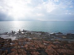 景点-东平洲海岸公园