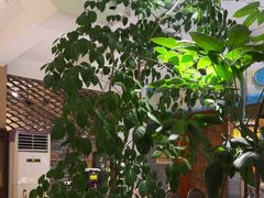 -慢丽江·云南野生菌土鸡锅(付家庄店)