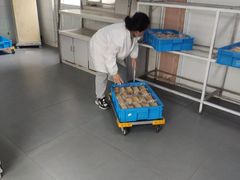 -来噻布布 Lets BUBU