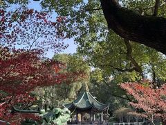 -申粤轩酒楼·三十年粤菜经典(丁香花园店)