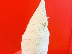 -野人先生现做冰淇淋(北京王府井东方新天地店)