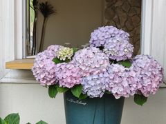 -秀儿家の小确幸花园西餐厅