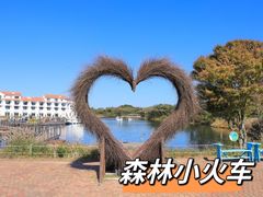 -济州森林小火车生态公园