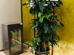 -郑州新郑国际机场T2航站楼-贵宾厅B区