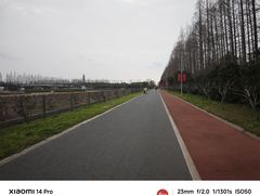 -上海长兴岛郊野公园
