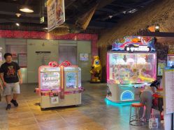 -卡通尼·Safari非洲探索乐园·生日会(金桥国际商业广场店)