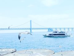 -星海广场