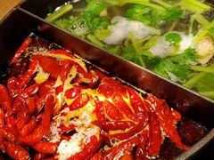 草本鸳鸯锅-盡膳口福跷脚牛肉火锅(晶耀前滩店)