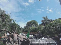 -100蛋泥浆浴