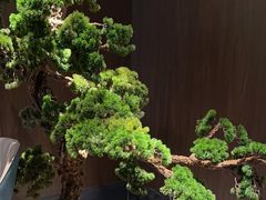 -喜湘宴·精致湖南菜(和平西桥店)