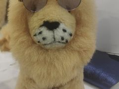 -南宁国际会展中心