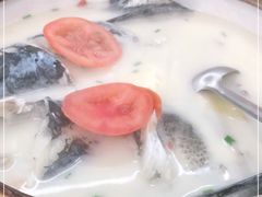-全乐鱼馆·淳牌有机鱼直营店
