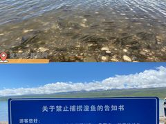 -青海湖国家重点风景名胜区