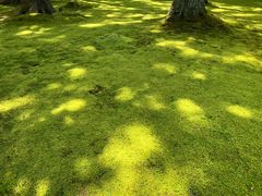 -三千院