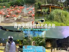 -新加坡飞禽公园