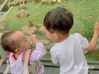 遛娃｜广州动物园20元的快乐