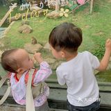 遛娃｜广州动物园20元的快乐