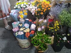 -大洋晶典(东街店)