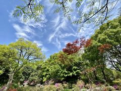 -上海滨江森林公园