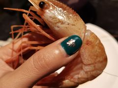 生吃的加拿大牡丹虾-半岛翡丽海鲜自助餐厅(观风亭店)
