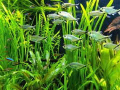 -上海海洋水族馆