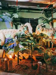 -恐龙探索乐园(磁器口店)