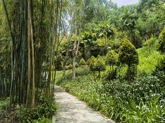 -深圳龙潭公园
