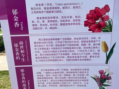 -石家庄市植物园