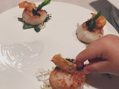 香煎新西兰带子-Oyster Talks 四度蚝法餐厅