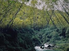 -马岭河峡谷风景区