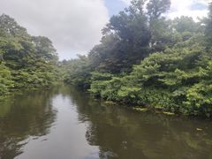 -济州森林小火车生态公园