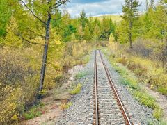 -莫尔道嘎国家森林公园