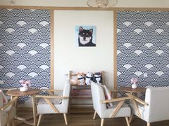 -柴犬小屋·柴餐厅·狗咖食堂(金鼎广场店)