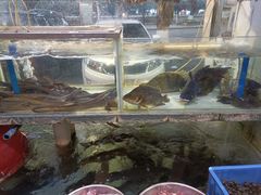 -山坑河鲜(昆仲楼店)