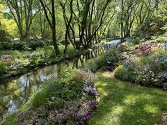 -上海共青森林公园