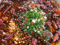 -青城甲(青城山店)