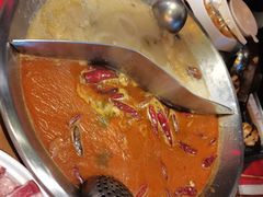 -红牌美蛙鱼头火锅(万辉国际广场店)