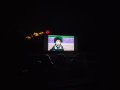 -枫花园汽车电影院(朝阳公园店)