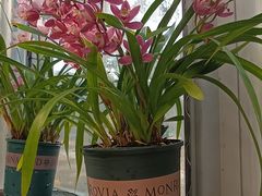 -国家植物园南园