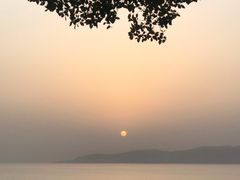 -上海市保健医疗中心