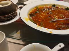 川香毛血旺-尚一汤 广东炖汤(金桥国际店)