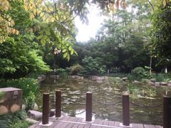 -新湖明珠城